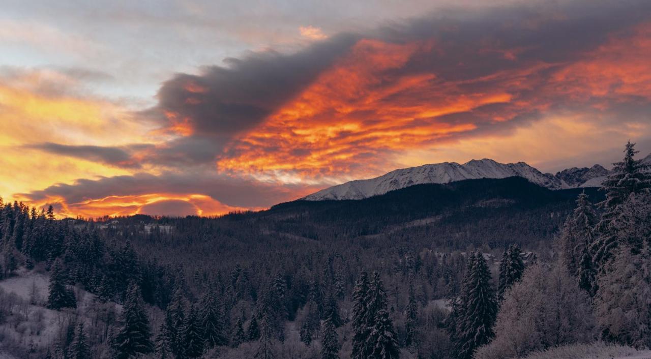 Maciejowy Dwor Appartement Zakopane Buitenkant foto