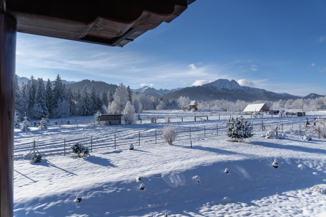 Maciejowy Dwor Appartement Zakopane Buitenkant foto